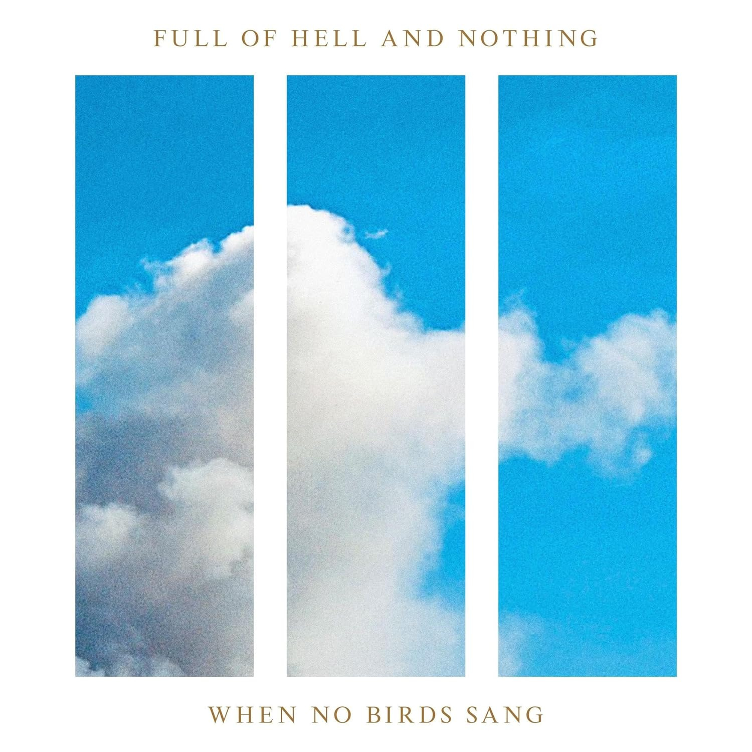 Full of Hell and Nothing - When No Birds Sang vinyl cover