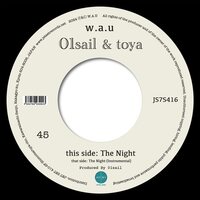 01sail & Toya - The Night vinyl cover