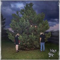 100 Gecs - 100 Gecs vinyl cover