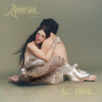 12 Ensemble - Metamorphosis vinyl cover