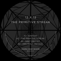 12 X 12 - The Primitive Streak vinyl cover