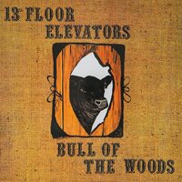 13th Floor Elevators - Bull Of The Woods vinyl cover