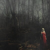 156/Silence - From A Distance vinyl cover