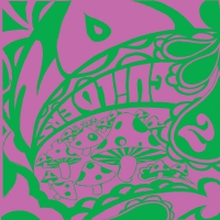 20 Guilders - 2 vinyl cover