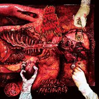 200 Stab Wounds - Manual Manic Procedures vinyl cover