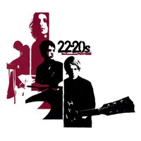 22-20S - 22-20S vinyl cover
