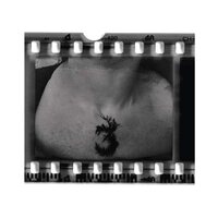 3rd & the Mortal - 3rd & The Mortal vinyl cover