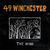 49 Winchester - The Wind vinyl cover