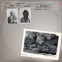 700 Bliss - Nothing To Declare vinyl cover