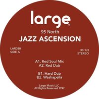 95 North - Jazz Ascension vinyl cover