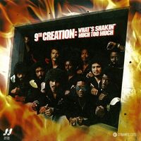 9Th Creation - What's Shakin vinyl cover