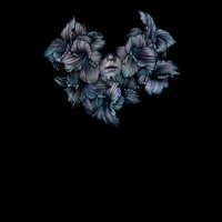 A Lot Like Birds - DIVISI vinyl cover
