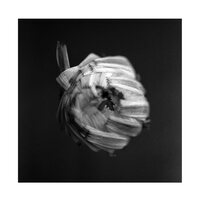 A Swarm of the Sun - An Empire vinyl cover