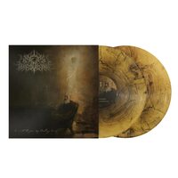 A Wake In Providence - I Write To You, My Darling Decay vinyl cover