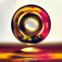 Aaamyyy - Annihilation vinyl cover