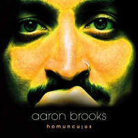 Aaron Brooks - Homunculus vinyl cover