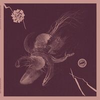 Aaron Turner & Jon Mueller - Now That You've Found It vinyl cover