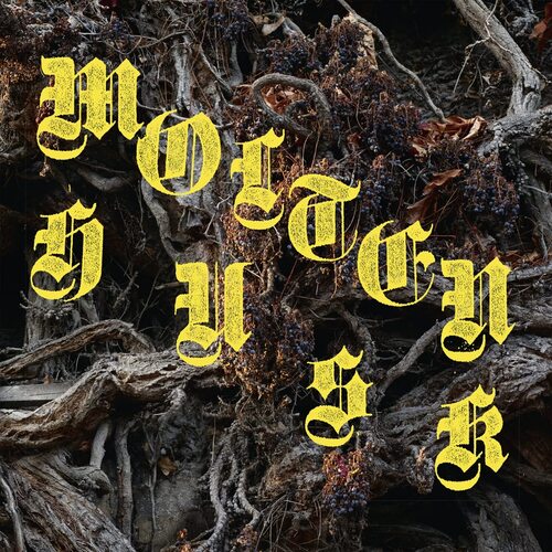 Abest - Molten Husk 180Gr. vinyl cover