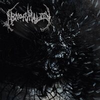 Abnormality - Mechanisms Of Omniscience - 3Mm Spinned Sleeve vinyl cover