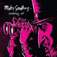 Absolutely Not - Mister Something vinyl cover