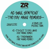 Ac Soul Symphony - The Ray Mang Remixes vinyl cover