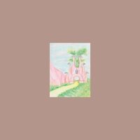 Acchiappashpirt - Ninulla vinyl cover
