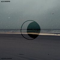 Ace Enders - Posture Syndrome vinyl cover