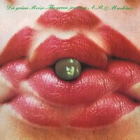 Achim Reichel & Machines - Die Grune Reise: The Green Journey vinyl cover