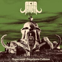 Acid Mammoth - Supersonic Megafauna Collision vinyl cover