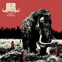 Acid Mammoth - Under Acid Hoof vinyl cover