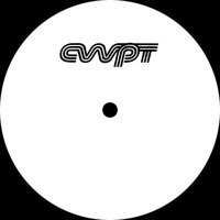 Acopia - Be Enough - Daniel Avery Remix vinyl cover