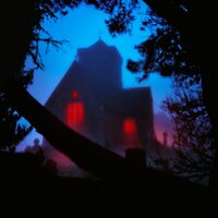 Acres - The Host vinyl cover