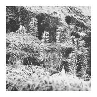 Acronym  /  Korridor - Untitled vinyl cover