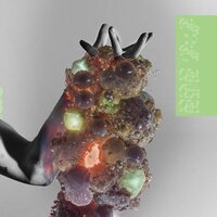 Act - Face To Face, Day by Day vinyl cover