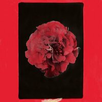 Activity - A Thousand Years in Another Way vinyl cover