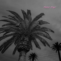 Actual Wolf - Faded Days vinyl cover