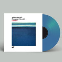 Adam Baldych - Endless vinyl cover