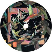Adam Beyer - Don't Go vinyl cover