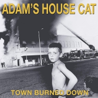 Adam's House Cat - Town Burned Down Yellow vinyl cover
