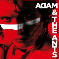 Adam & the Ants - Singles vinyl cover