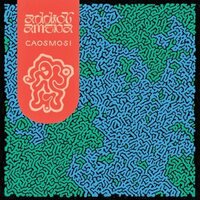 Addict Ameba - Caosmosi vinyl cover