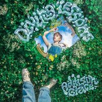 Addison Grace - Diving Lessons vinyl cover