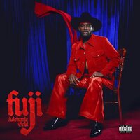 Adekunle Gold - Fuji vinyl cover