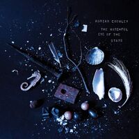 Adrian Crowley - The Watchful Eye Of The Stars vinyl cover