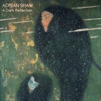 Adrian Shaw - A Dark Reflection vinyl cover