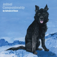 Advance Base - Animal Companionship vinyl cover