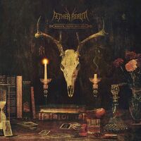 Aether Realm - Redneck Vikings From Hell vinyl cover