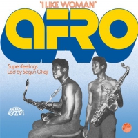 Afro Super-Feelings Led By Segun Okeji - I Like Woman vinyl cover