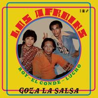 Afroins - Goza La Sala vinyl cover