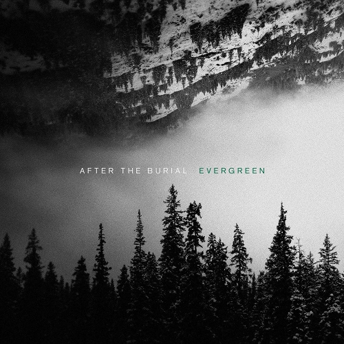After The Burial - Evergreen vinyl cover